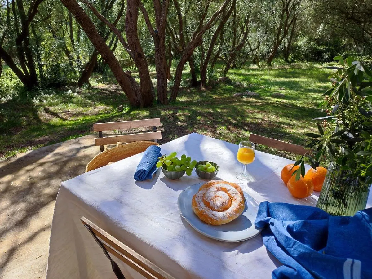 Finca Cas Canar Sencelles Willa