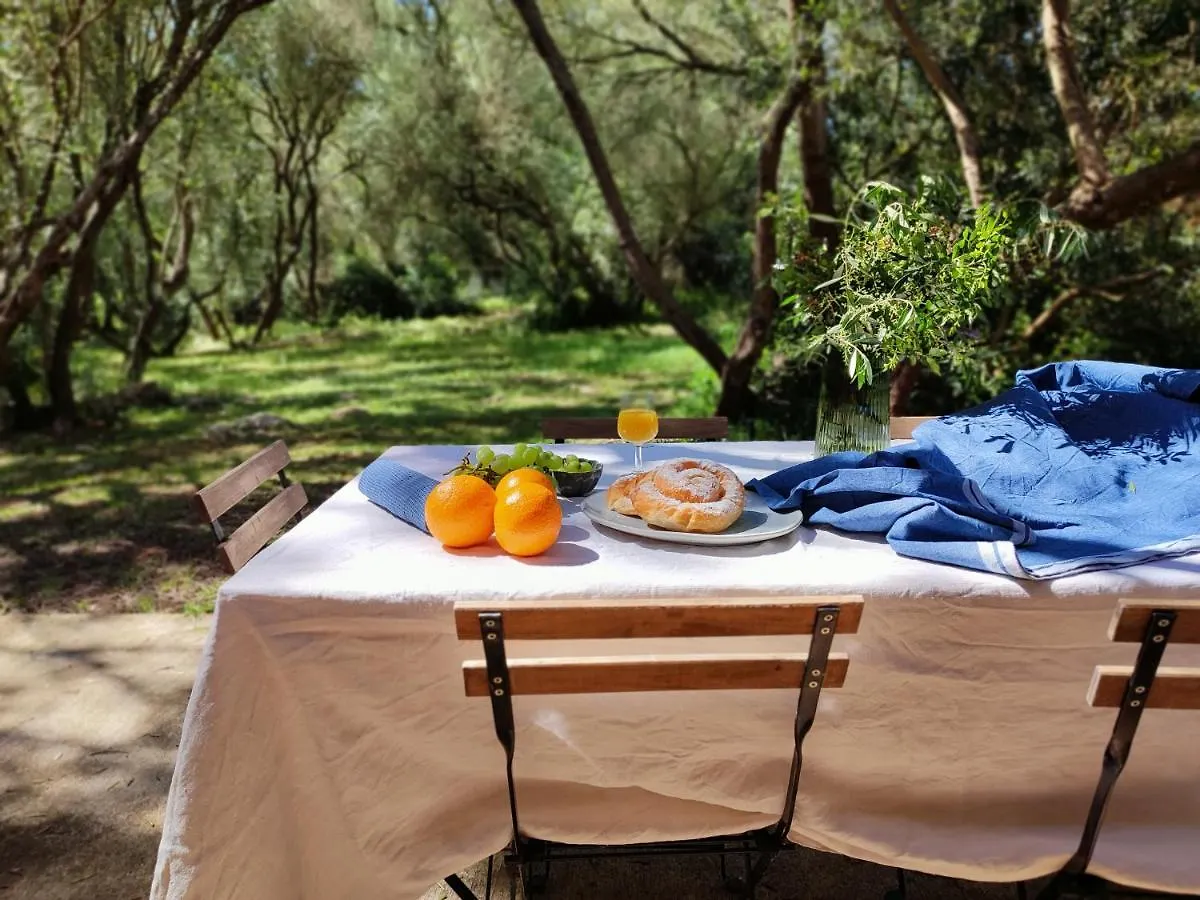 Villa Finca Cas Canar Sencelles